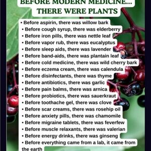 Just saying Herbal Remedies